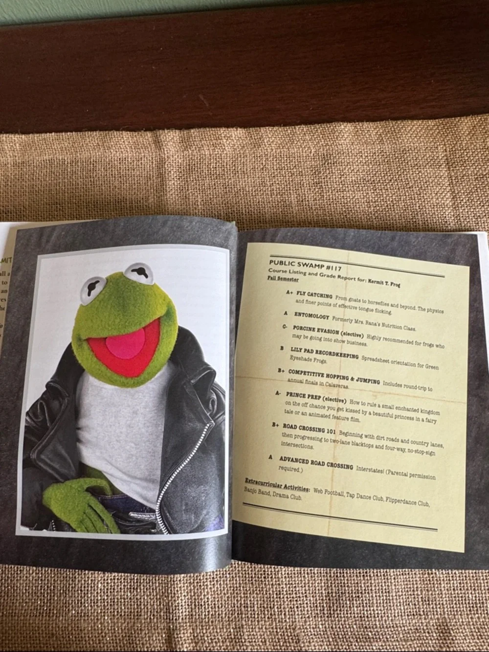 Kermit The Frog Book Before You Leap Life Lessons
